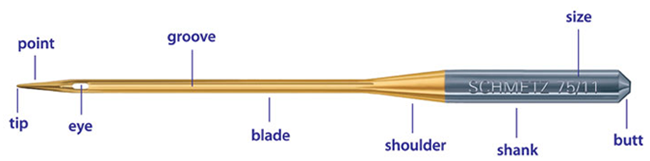needle-anatomy