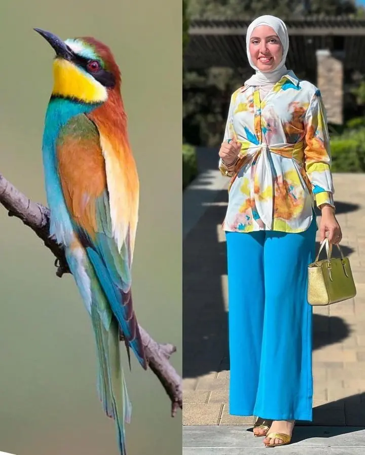 أزياء مستوحاه من ألوان الطيور (13)