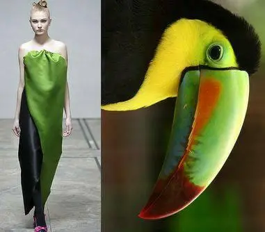 أزياء مستوحاه من ألوان الطيور (35)