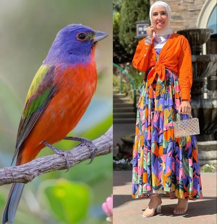 أزياء مستوحاه من ألوان الطيور (5)